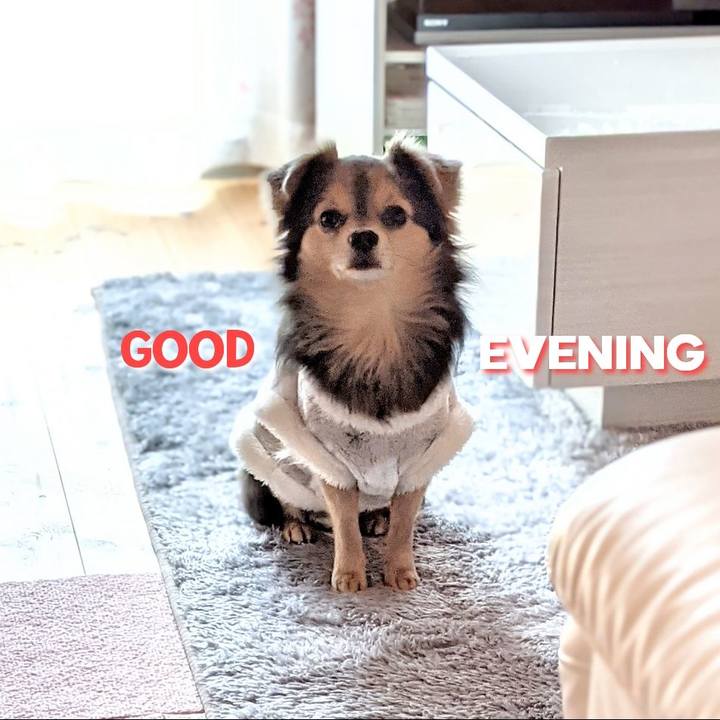 8cb67671 ca2f 4ec0 8355 4c6bccc89a11 1611304664041
