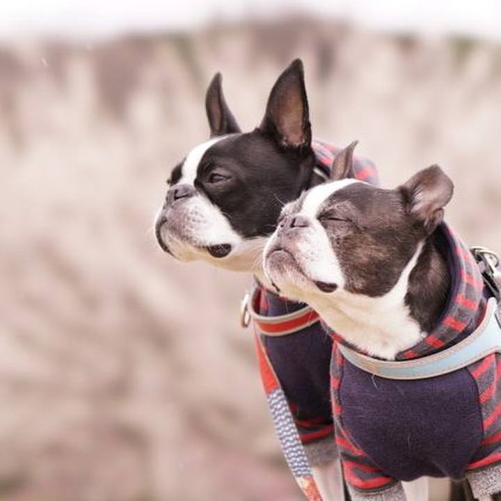 8cb6a711 4246 4fc3 a69f 2aec94fd47c9 1551960731882