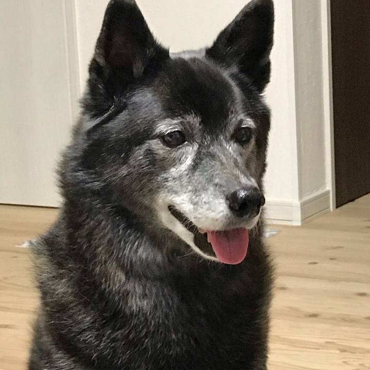 8cb6c944 6865 4d45 b7b2 266e9afd9592 1606134121425