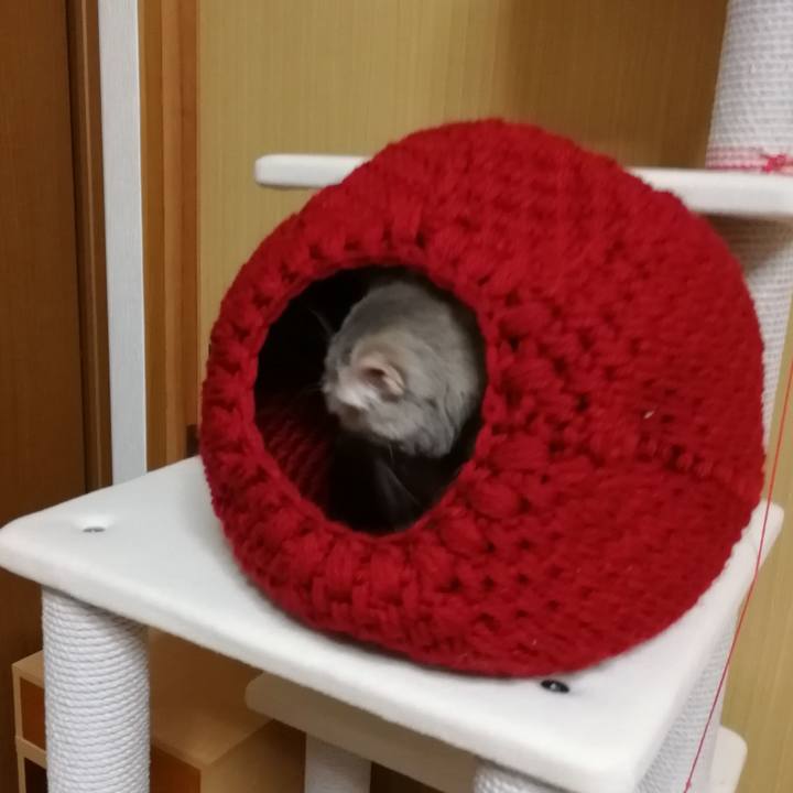 8cb6cfb3 27b6 4f85 9068 7470e98da588 1550022210653