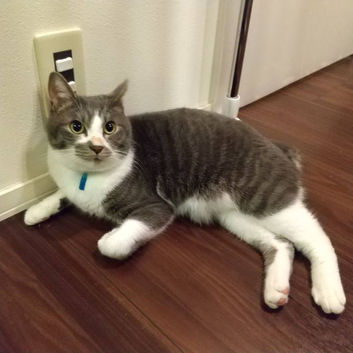 8cb6ee84 58dc 4914 913c 3c87ee4fad62 1606912072599