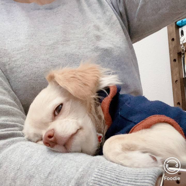 8cb6fbb5 beca 4168 81a4 f782f8092a0c 1605182912192