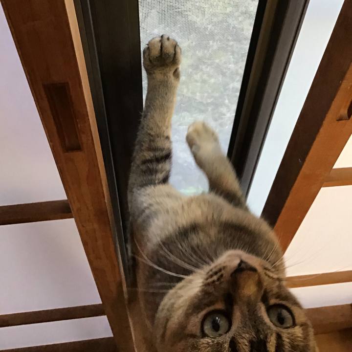 8cb71311 a2e2 44fa 9fe9 674973b15ce0 1580459660063