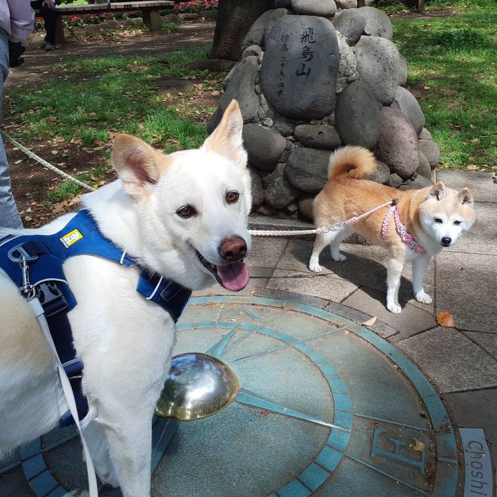 8cb717b1 164f 4fae 91cd 64d6ce6fd6ec 1682750647137