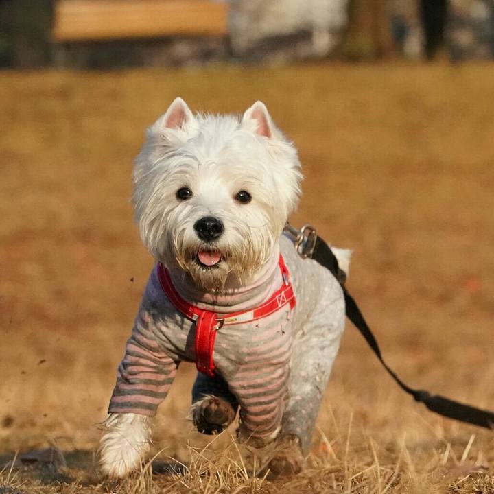 8cb72468 8b79 4e87 9b31 c516668d6462 1514202882912