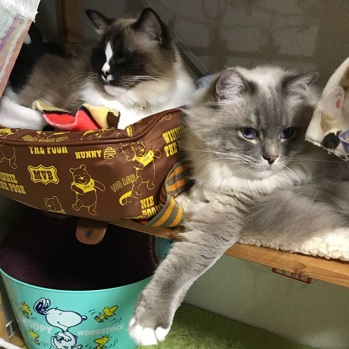 8cb74ba4 8778 4fc7 9d2a 0b447b9a75dc 1515920286917