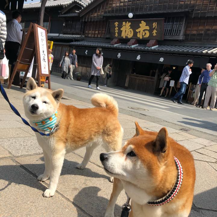 8cb757e5 bfc2 4045 a01b 228abfcb8ba9 1554608510247