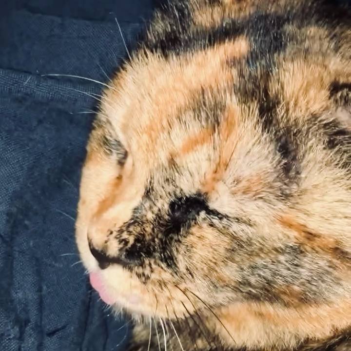 8cb76cbb f852 4d59 896d f92512212d72 1730318907899