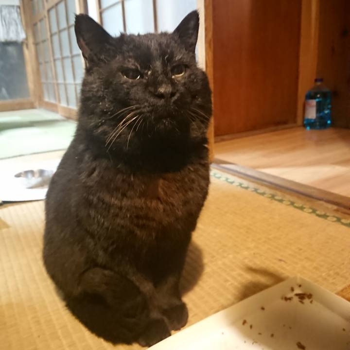 8cb77e4f 96b6 48a7 90ec 383c98bc41ce 1617380609401