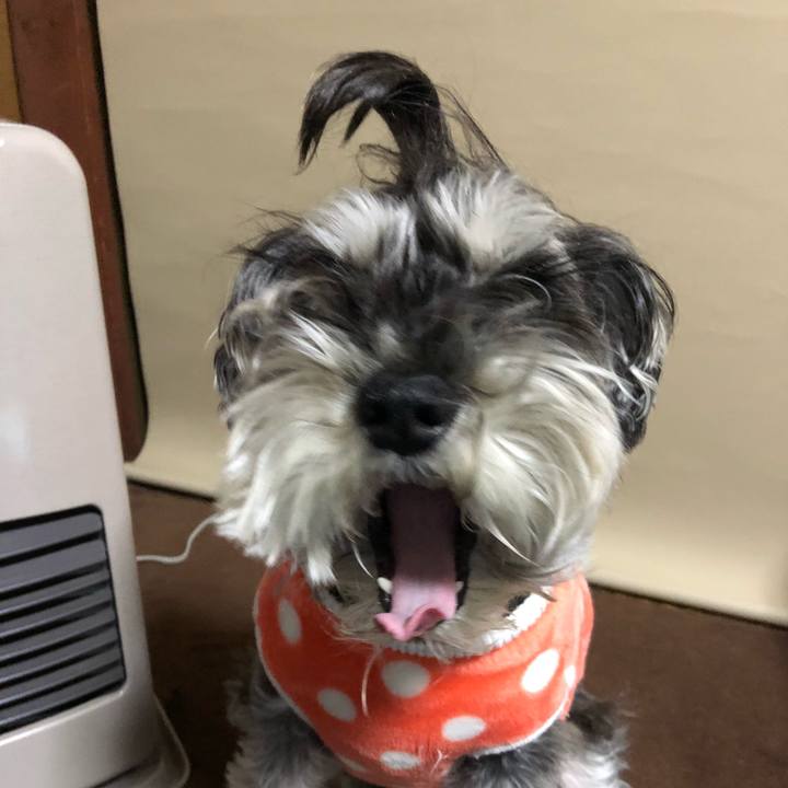 8cb78204 858d 44fe 8fee 3e6ae0d41857 1519222474380