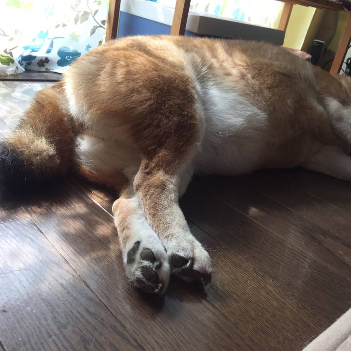 8cb7a433 8038 47db 9166 1d73a2557b43 1529215430519