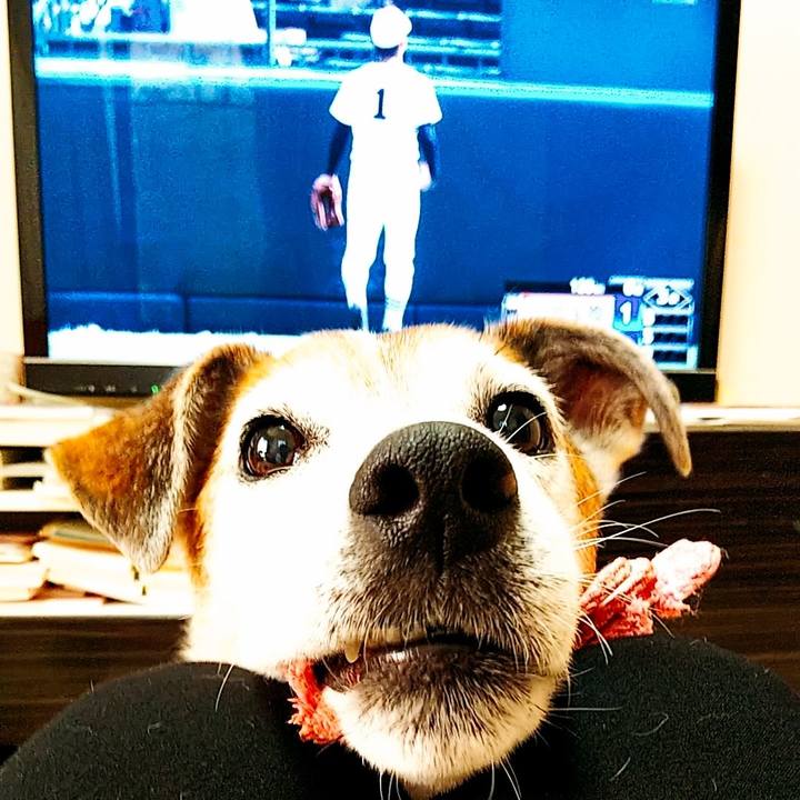 8cb85cdc ce67 43b1 ba6e e2b530f08e64 1534575387736