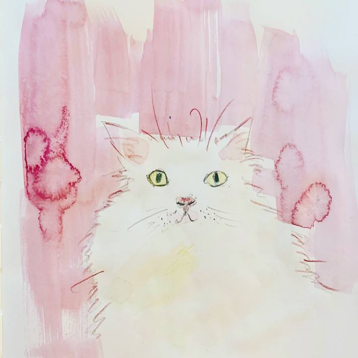 8cb862cf 2987 4bde 8143 9577909aad33 1576999202552