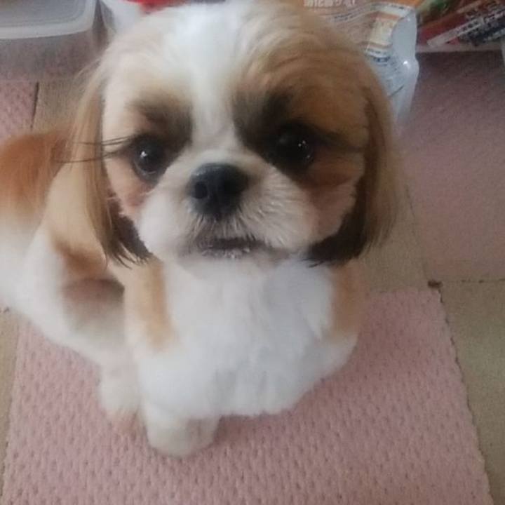 8cb86370 6d10 45bf 87f1 ef3205fd8499 1556164119950