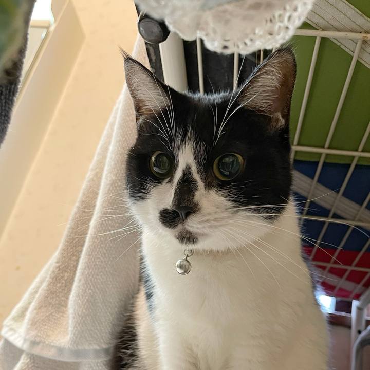 8cb87cdd ad7d 4cf0 a144 8ddc32c44e76 1763264939933