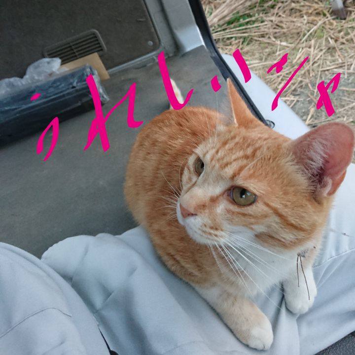 8cb8cf25 9cb7 41e8 a26e 175f0b19393f 1591350481156