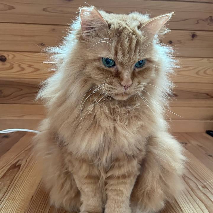 8cb8d521 5d74 4023 993a 433dac19561e 1709764049093