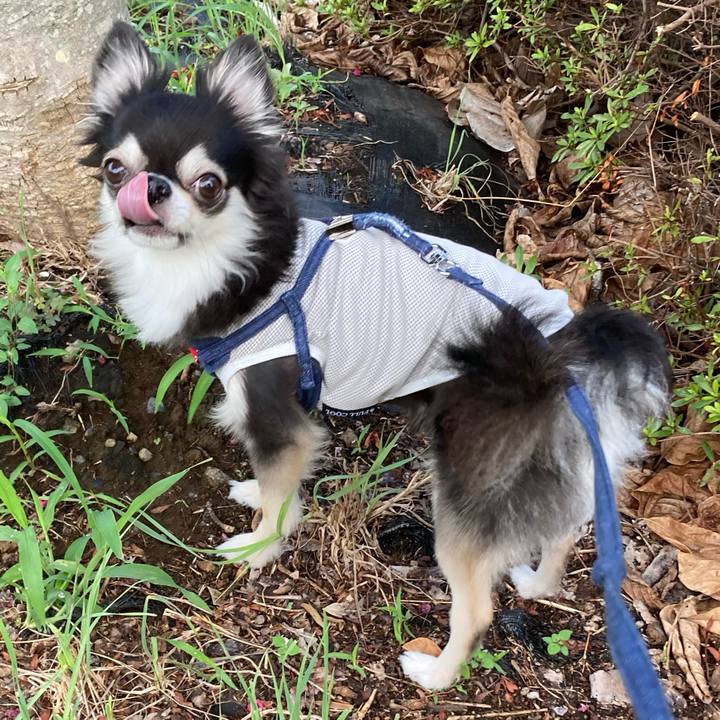 8cb8ee84 8b38 4fad a74b 4f1322fc52da 1693112987077