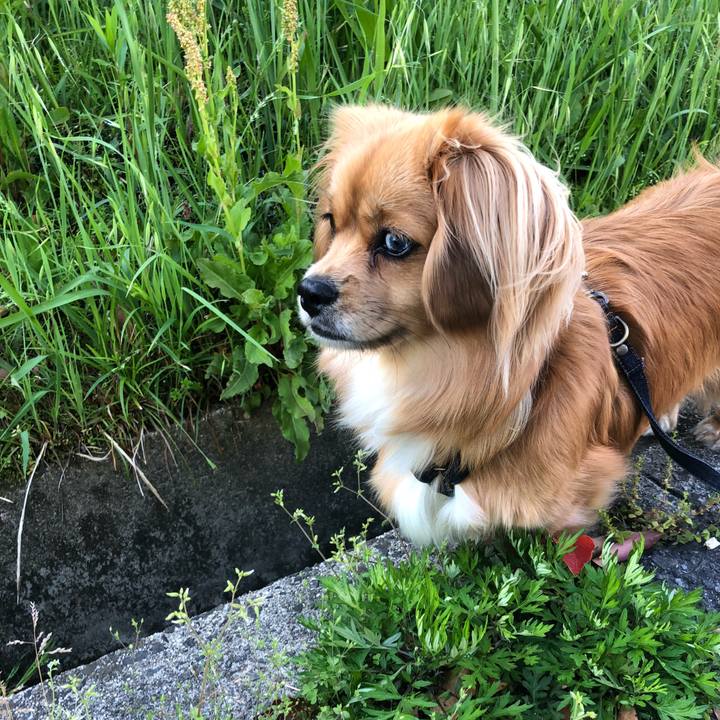 8cb90138 739c 4c11 a264 0801eefe4732 1524692261837