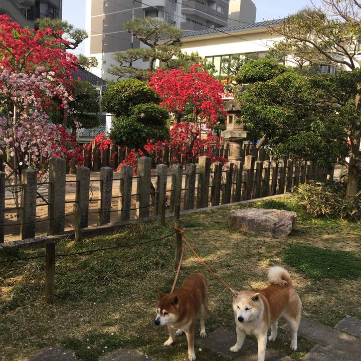 8cb9852f 6675 4888 8097 c50a66f95a0a 1522563313809