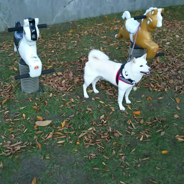 8cb99400 62aa 4885 863d 8c508edfb025 1543221919864