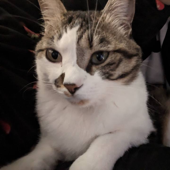 8cb9c328 3bad 40da 8a40 4fb7295a0a65 1679731695499