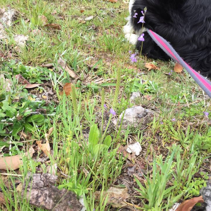 8cb9e709 b6f0 40d6 a553 d94f1c12d27a 1554945109297