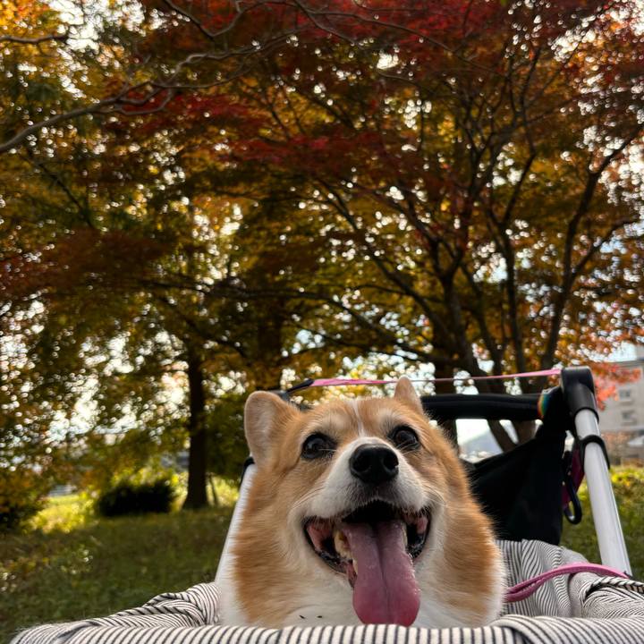 8cb9f43e 673a 429b becd 359a14408d2c 1731811913080