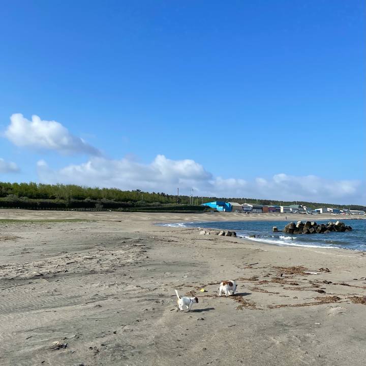 8cb9f455 f444 43e9 92dc c48435645c8f 1622158924442