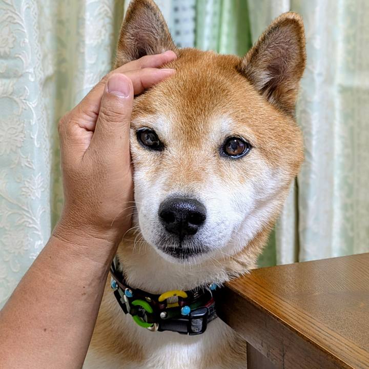 8cba1044 0fe1 4fe3 a536 dcbbf58c6413 1758122783671