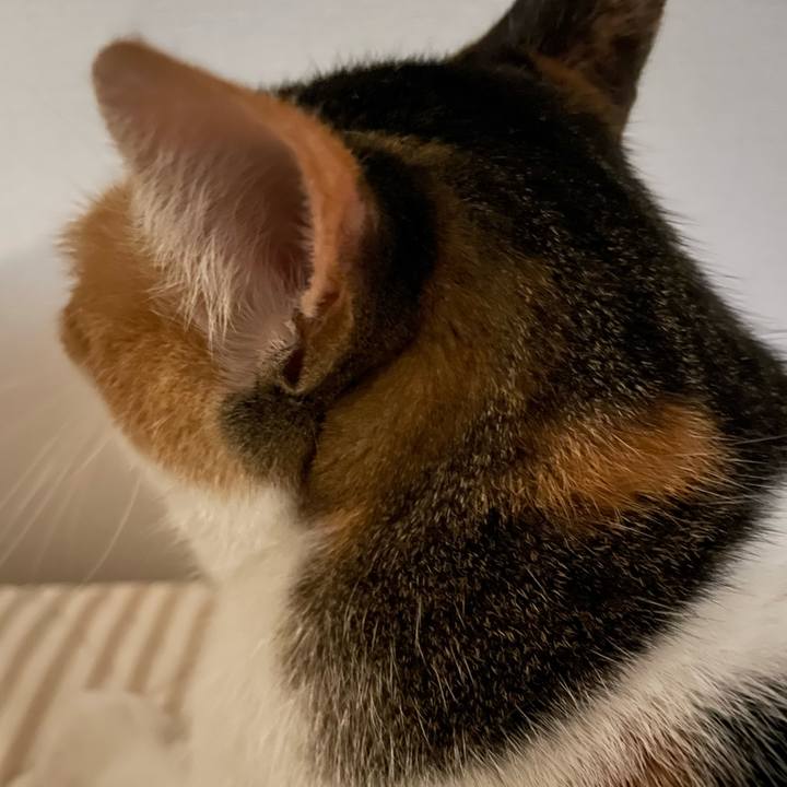 8cba1ba0 1cdd 4338 b70a 0832a9347ee5 1659799649677