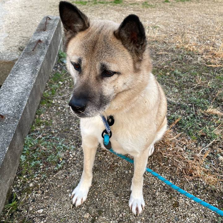 8cba4a93 a5da 496b 9089 b3ca9c8bb28f 1676985249950