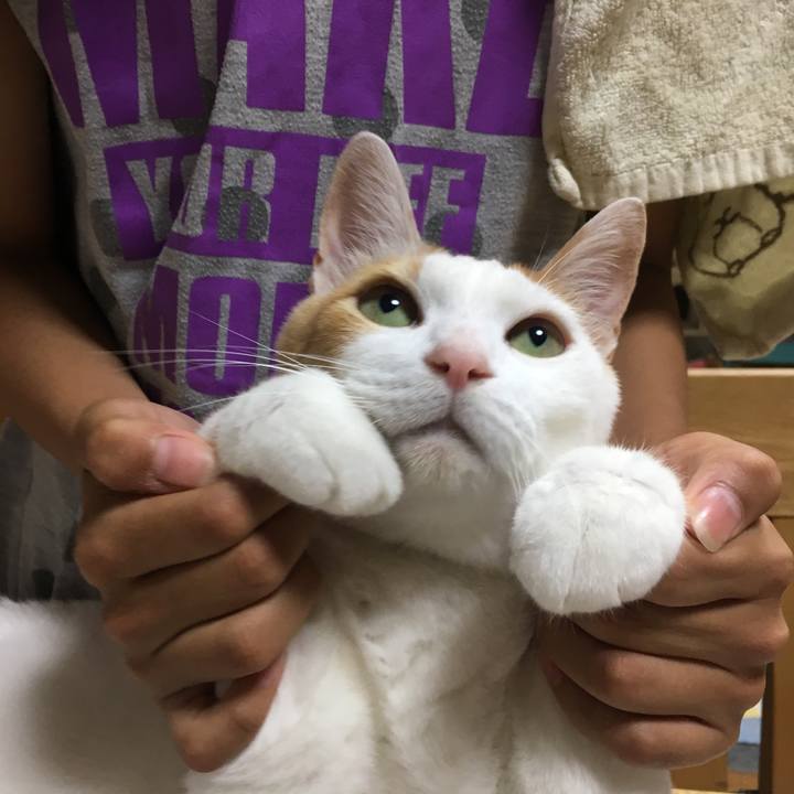 8cba6eeb 8fe7 469b b0d7 83c1e75ccd17 1529701061498