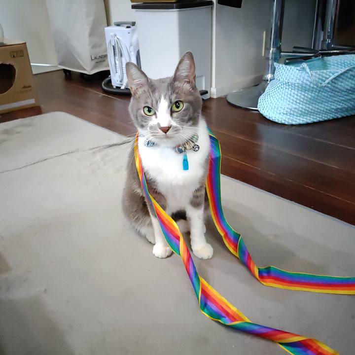 8cba84f7 b9c3 47c5 9f54 88d96d273d63 1696829058549