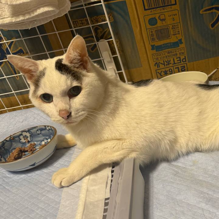 8cba8f83 7afe 4392 be6e aa7c34708d80 1765756790019