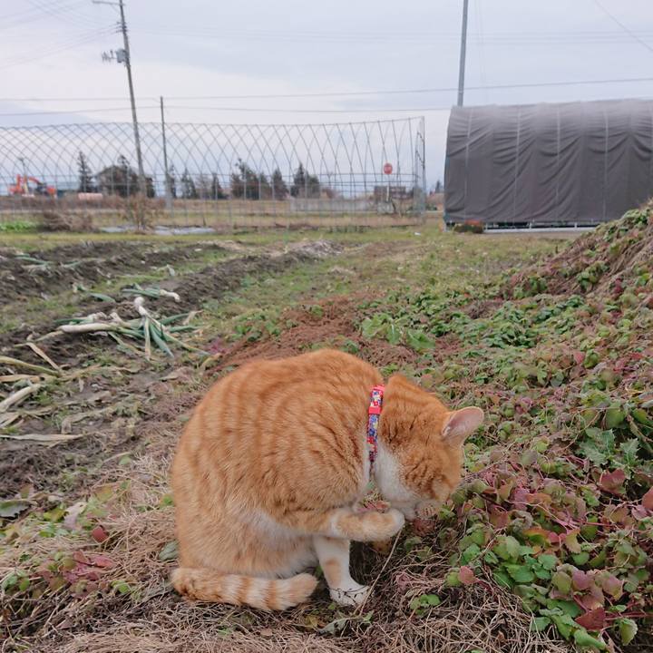 8cbaa417 677f 48b5 b538 d56378059fef 1576995257281