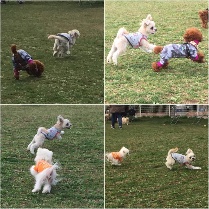 8cbab3ff de95 4377 881a 1c4c9e7f4fa7 1521358491060