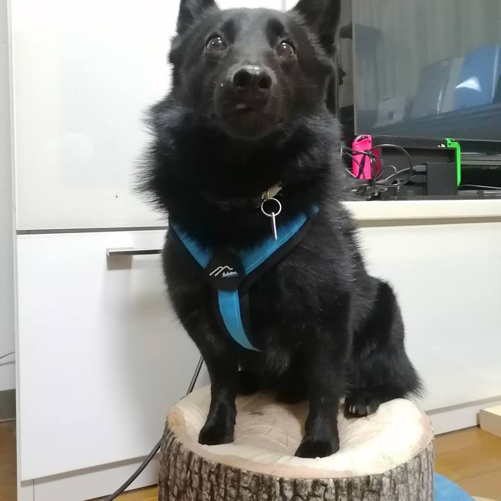 8cbae1ef 3bc1 42a1 b81e 8a5a83b08d31 1636978633418