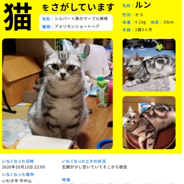 8cbaea60 b2a3 46f7 bf86 1e605c6c907f 1603962712823