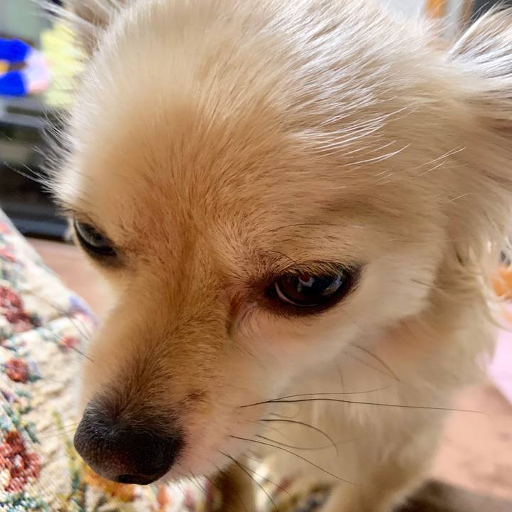 8cbb342e 4ce1 4ba2 971b 8445c85e75aa 1546984830246