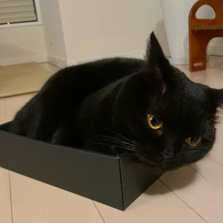 8cbb5df2 00c3 4d29 b677 1cc3e0aa95ff 1642851121928