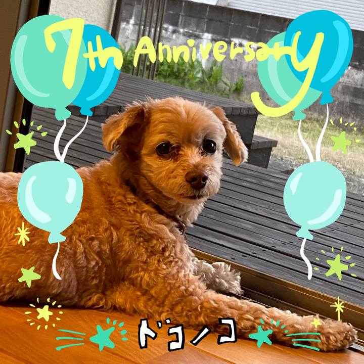 8cbb6ac6 149c 4807 a39b ee78896d25de 1685954188349