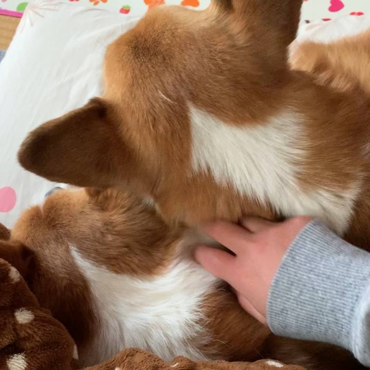 8cbb99cd a24c 4997 bdde 3d78db679bb0 1647602541503