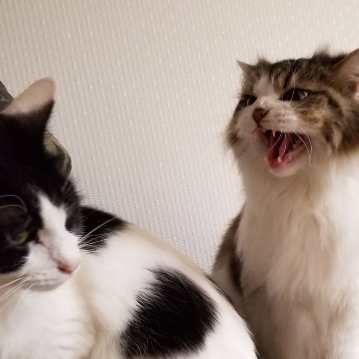 8cbbc82a aba8 4a46 998b 4a288640a864 1546293428888