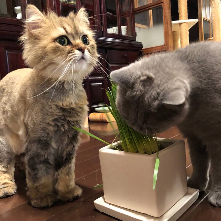 8cbbddbd f4b3 4799 8967 87f15b166eaa 1561031969363