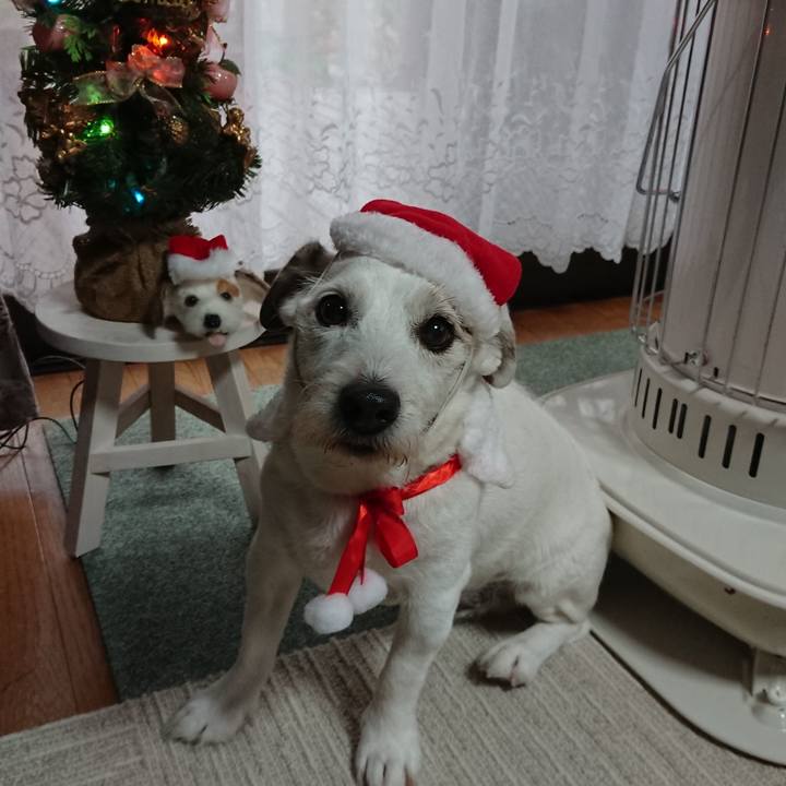 8cbbf150 7478 4d65 a2a7 4cead6cf5cd9 1575934829644