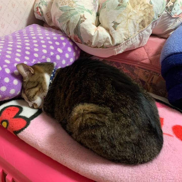 8cbc511f 07cf 44a4 a81f 4b95be1b0fbf 1584373825872