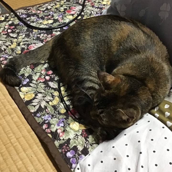 8cbc81d1 6a70 4296 a137 5e8d4c3fc991 1634638221198