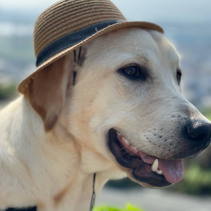 8cbd0143 a652 4aa6 a14d c1fd37cf281a 1624090470069