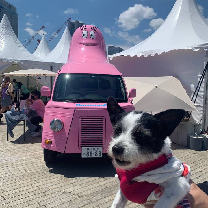 8cbd0e26 dff9 41a2 9167 7ea659e26377 1621759175915